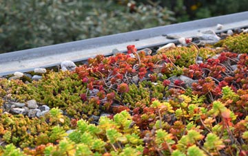 the cost of Gorbals green roof installation