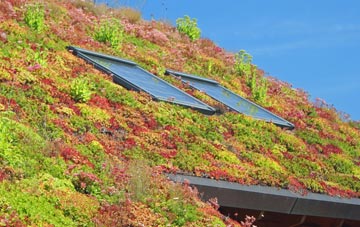 Gorbals living roof systems