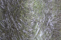 Gorbals fibreglass roof work